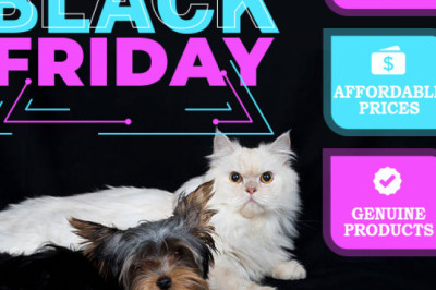 Black Friday Offers are live at eBay Store- Budgetpetsupplies