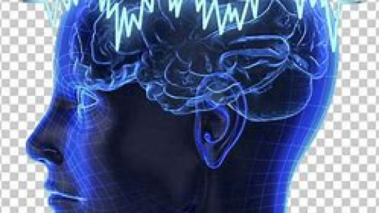 Brain Fingerprinting Technology Market 2022 | Covid- Impact 19 Analysis and Industry Forecast Report Till 2028