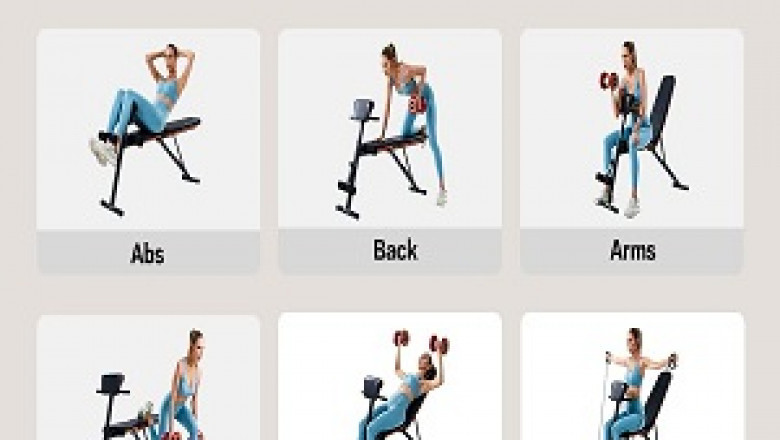 Buy Sit Up Bench Price 32-In-1 Ergonomically Designed For Home Gym From Artecue