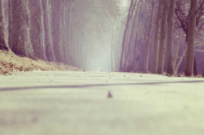 de que forma sostener sus ventanas seguras contra hurtos