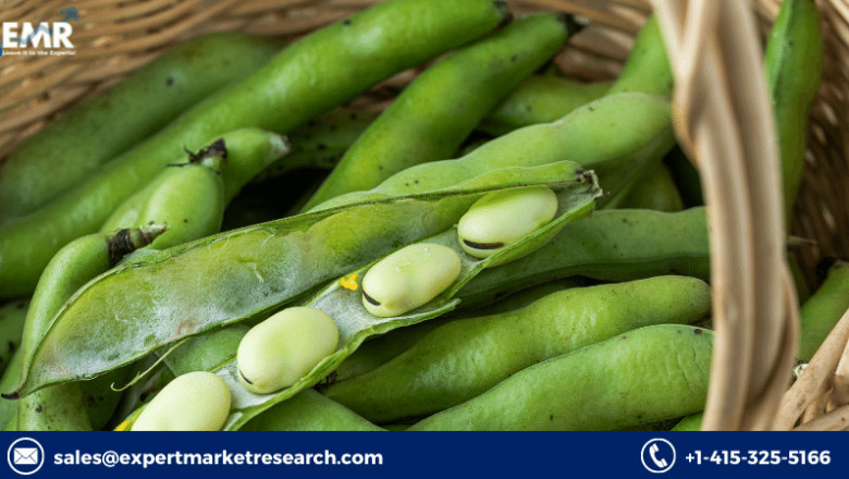 Global Fava Beans Market To Be Driven By Increased Demand From Consumers For Fava Beans In The Forecast Period Of 2021-2026
