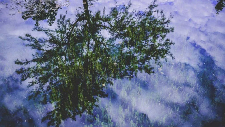 in case you truly have confidence in free of charge website hosting