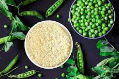 Pea Protein Market Size, Status, Growth | Industry Analysis Report 2020-2028