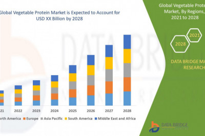 Vegetable Protein Market Innovative Strategy by 2029