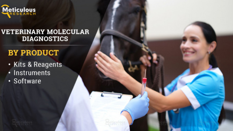 Veterinary Molecular Diagnostics Market Worth $1.61 Billion by 2029