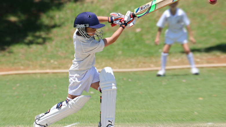 A Comprehensive Guide To Get The Best Batting Pads