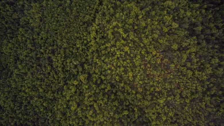 become an expert on best bloomfield painters by watching these 5 videos