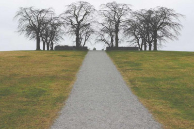 como resguardar sus ventanas