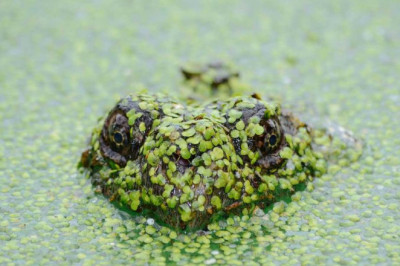 does your syueomaen pass the test 7 things you can improve on today