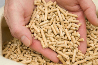 Feed Acid Contain a Variety of Energy Producing Elements, Including Fats, Oils, and Carbohydrates, Proteins Such as Amino Acids, Vitamins, and Minerals