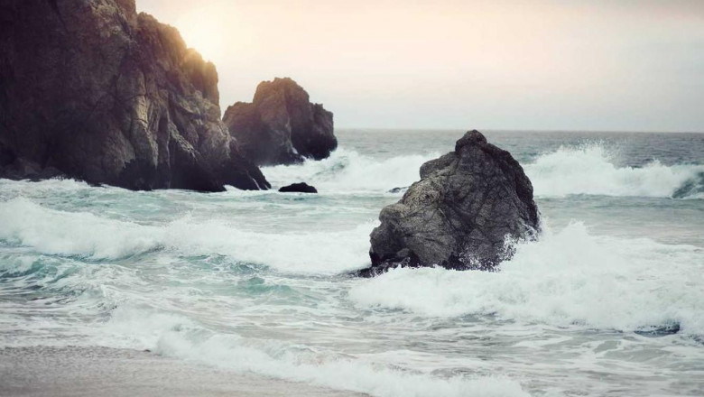 social media specialist mu002ffu002fd job bei der nexperia deutschland gmbh in hamburg