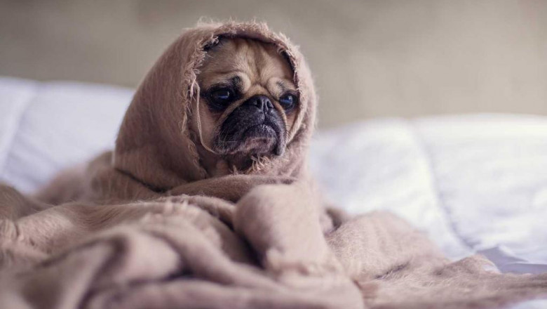 tattoomandalabilder stockfotos