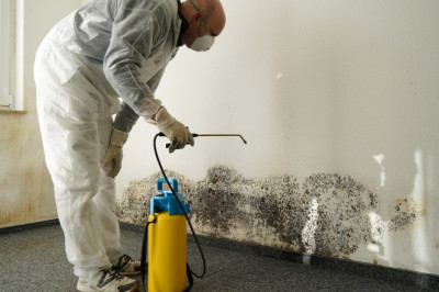 Water Damage Restoration Takes A Enthusiastic Vision and Quick Action