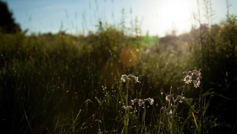 why people love to hate cheapest car insurance philadelphia