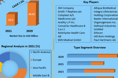 Wound Care Market Growth Status, Products, Region And Forecast 2029