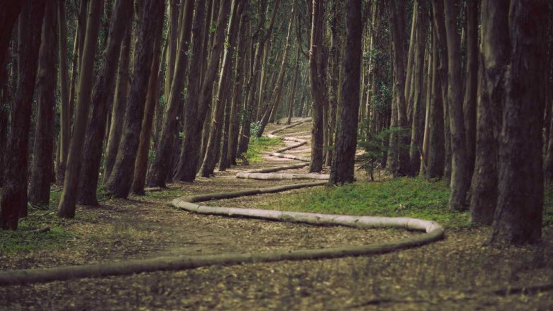 5 cliches about car insurance in philadelphia you should avoid