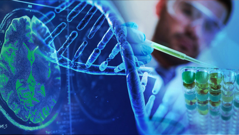A biomarker research service is a boon for the medical sector, which has become an essential tool for disease diagnosis and treatment