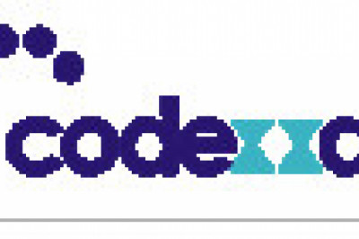 Best & Affordable Website Development Services in Pune - Codexxa Business Solution