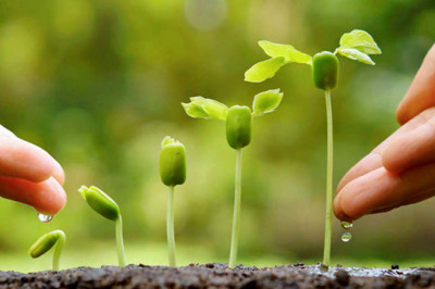 Biostimulants Can Be Used To Treat Nutrient Deficiencies As Well As Protect Plants