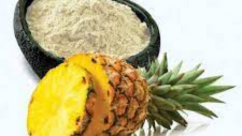 Bromelain Market 2022 : Industry Outlook, Regional Analysis and Forecast 2028