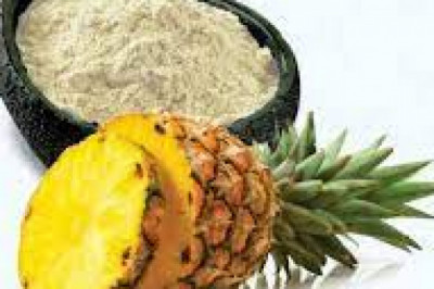 Bromelain Market 2022 : Industry Outlook, Regional Analysis and Forecast 2028