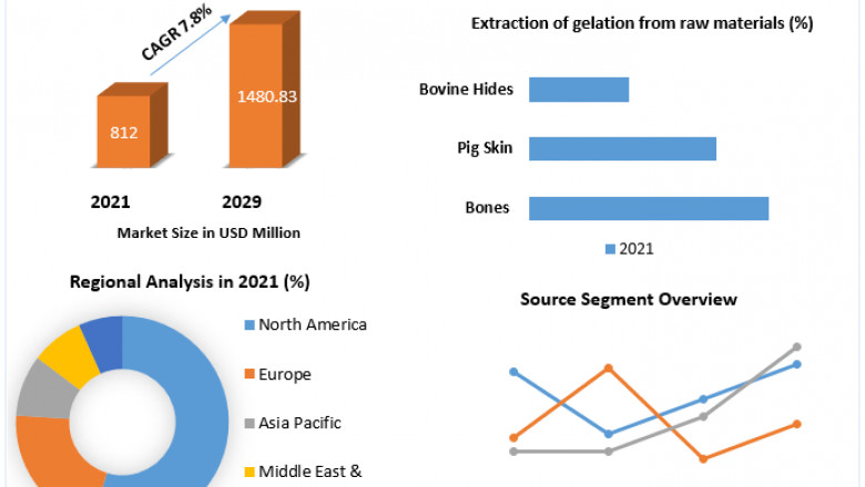 Collagen Peptide and Gelatin Market Business Trends, Region And Forecast 2029