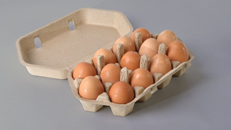Egg Packaging Protect The Eggs When They're Moved From One Place To Other