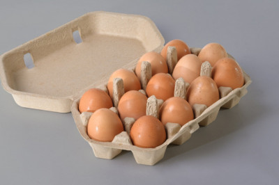 Egg Packaging Protect The Eggs When They're Moved From One Place To Other