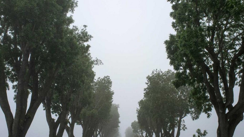 how a real estate agent