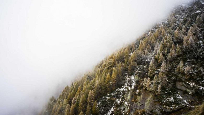 make your profitable with adsense