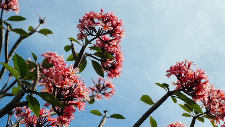so schreiben sie eine stellenanzeige die ihre einstellung ankurbelt