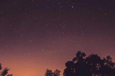 10 misconceptions your boss has about tincture thc drops