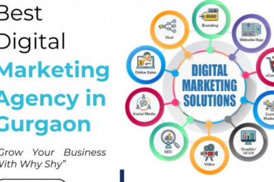 Best Digital Marketing Agency in Gurgaon - Why Shy
