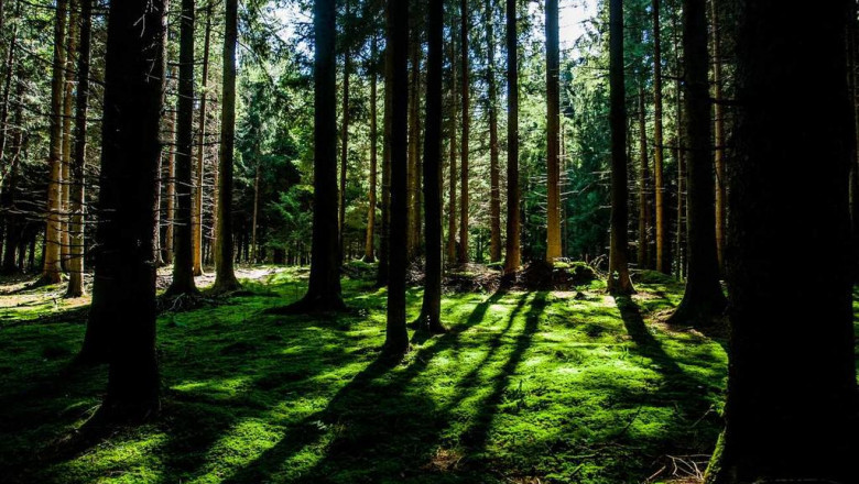 customer support what it is and also why it matters