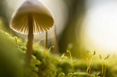 errores de seguridad que podria estar cometiendo y que lo ponen bajo riesgo de hurto