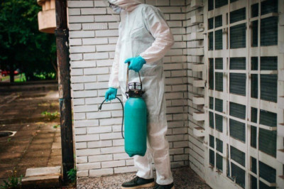 Pest Control Tips for Your Home and office In 2022