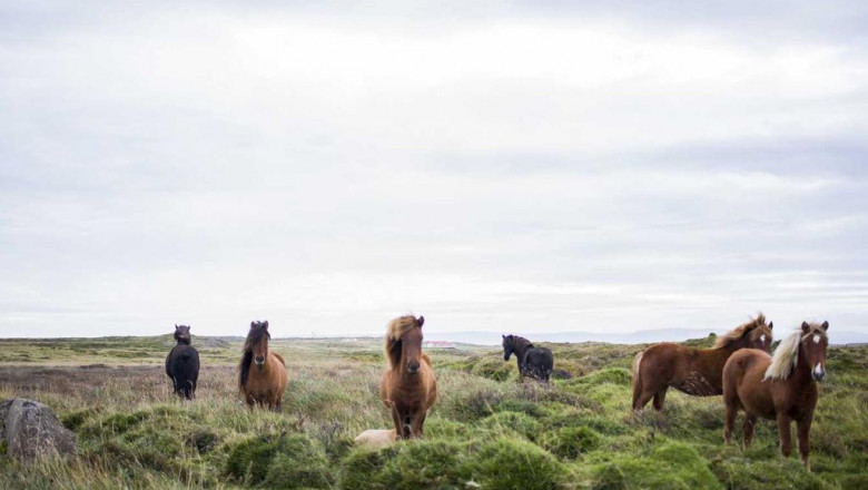 vaping delta 8 distillate what no one is talking about