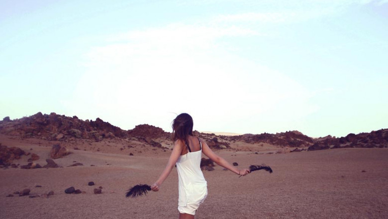 why you should spend more time thinking about donkey milk cheese