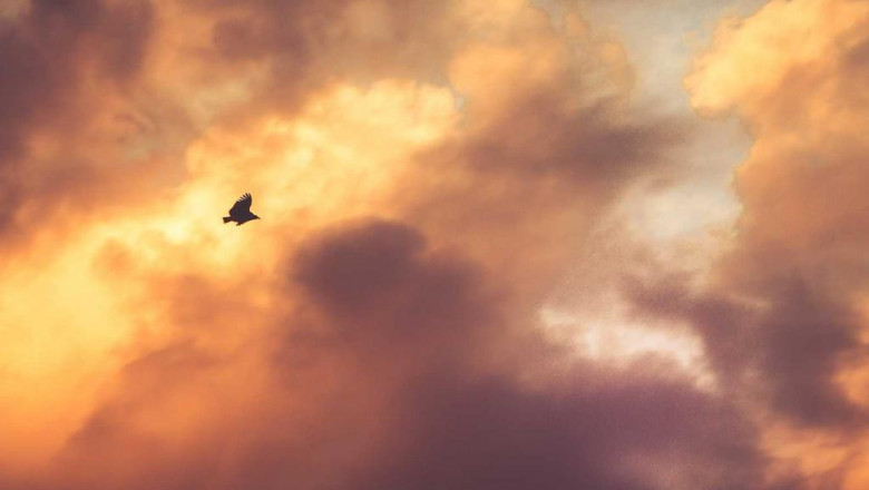 12 dos and donts for a successful pantyhose pics