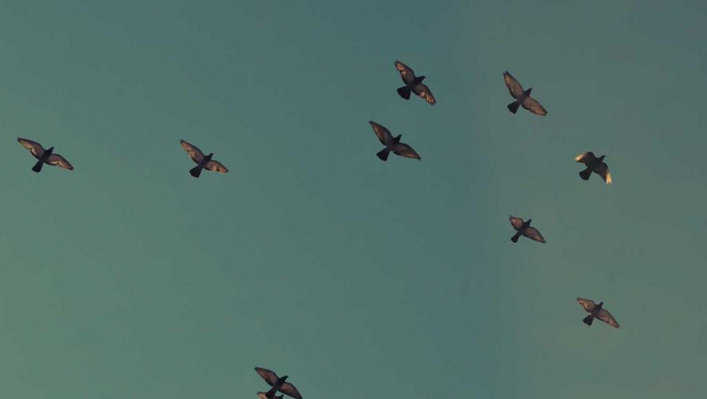 3 sybvt npvtsvt mdv hhshqh shlk bbtvmy gyvrgyh l vbdt vyk ltqn vth