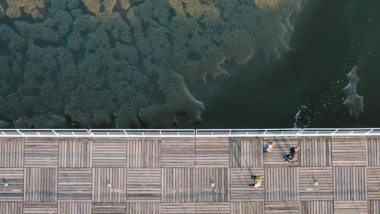 ailey expansion course rates dance course rates in new york city