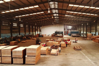 Best Plywood Manufacturers in Yamunanagar | Gurjone