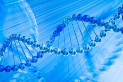 Bioinformatics Platforms Blends Mathematics, Biology, And Information Science