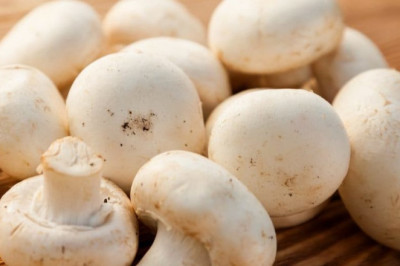 Button Mushroom Market share | Industry Analysis By Top Key Players, Demand, Growth factors to 2028