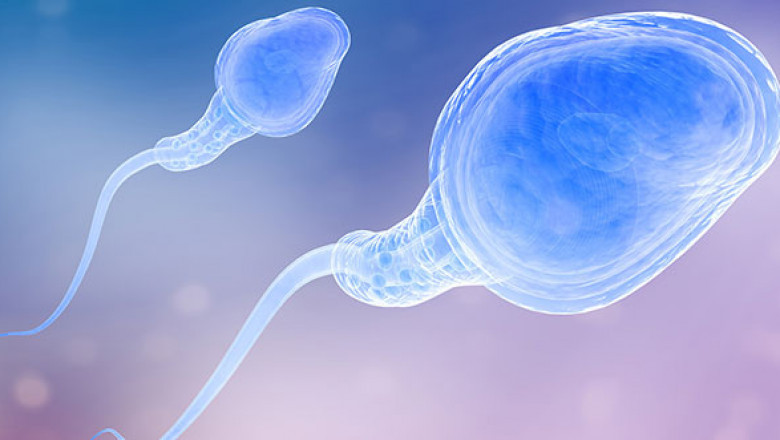 Call for Infertility Assessment Female - IVF Centre in Indore