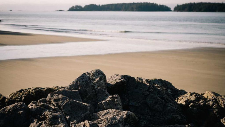 dance courses arts technology