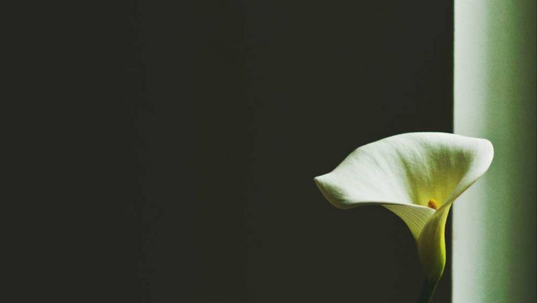 from around the web 20 fabulous infographics about where can i buy a syracuse basketball jersey cheap