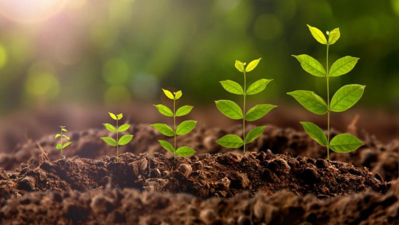 India Plant Growth Regulators Market Share, Growth, Size and Forecast