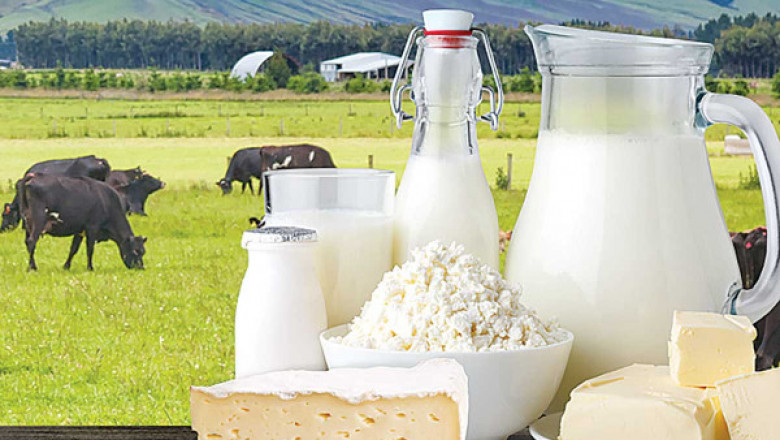 Iraq Dairy Products Market - Forecast(2022 - 2027)
