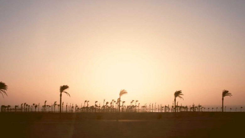 lukisan togel toto online togeltotoonline ilustrasi inventaris vektor